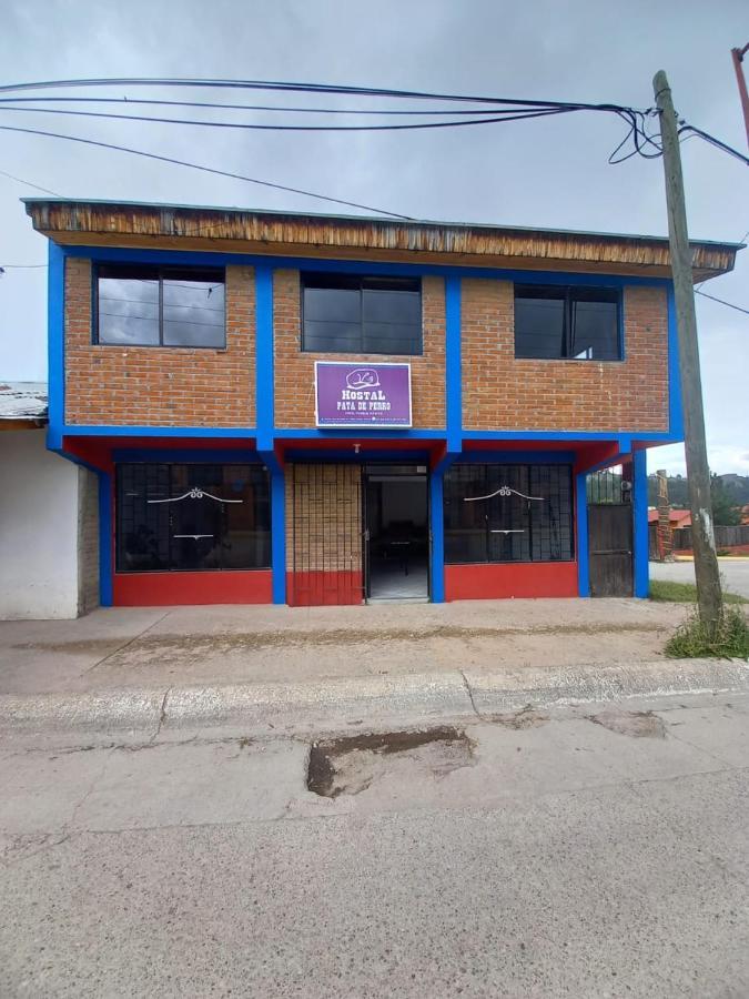 Hostal Pata De Perro Creel Exterior photo
